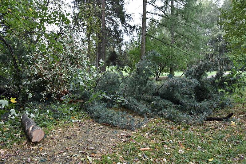 Pondělní noční vichřice převracela stromy také v parku Boženy Němcové. Park je z bezpečnostních d