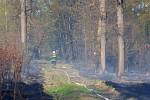 Požár, který vypukl v pátek odpoledne v Pežgovském lese, mezi Havířovem a Petřvaldem, se hasičům podařilo kolem sedmnácté hodiny dostat pod kontrolu.