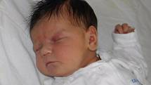 Pavlínka Klepaczová se narodila 9. června mamince Libuši Holainové z Karviné. Když přišla holčička na svět, vážila 3950 g a měřila 52 cm.