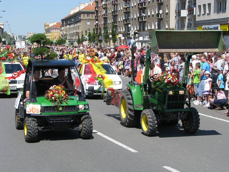 Havířov v květech. 