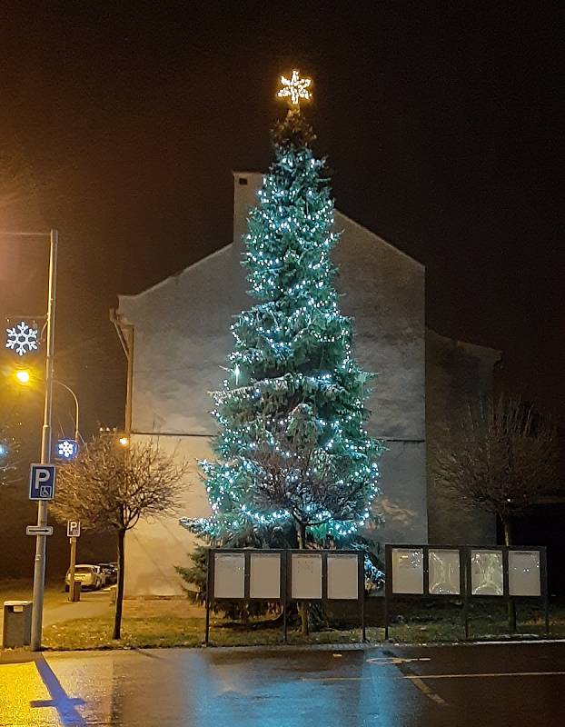 Vánoční strom v Dolní Lutyni je vzrostlý živý smrk před budovou obecního úřadu.
