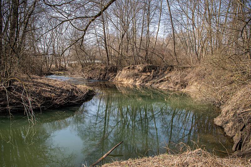 Meandry Lučiny v Havířově.