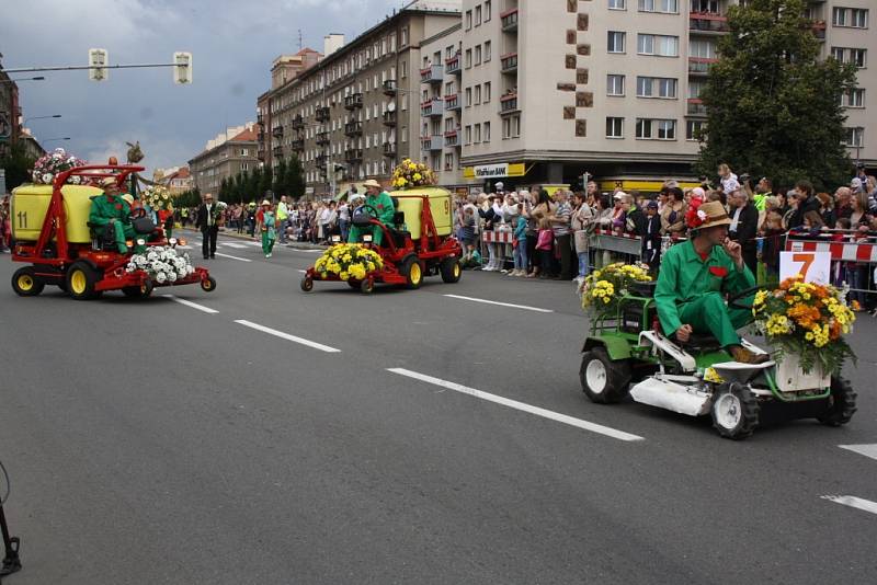 Havířov v květech. 