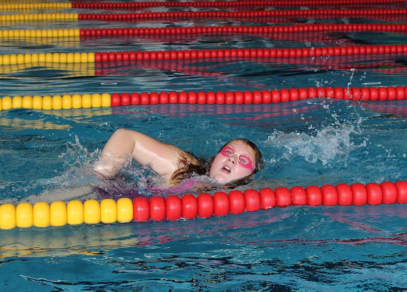 V Karviné, Orlové a Bohumíně se plavci zapojili do celorepublikové plavecké soutěže měst.