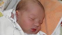 Štěpánek Fiedor se narodil 11. února paní Marii Fiedorové z Českého Těšína. Po porodu dítě vážilo 3650 g a měřilo 51 cm.