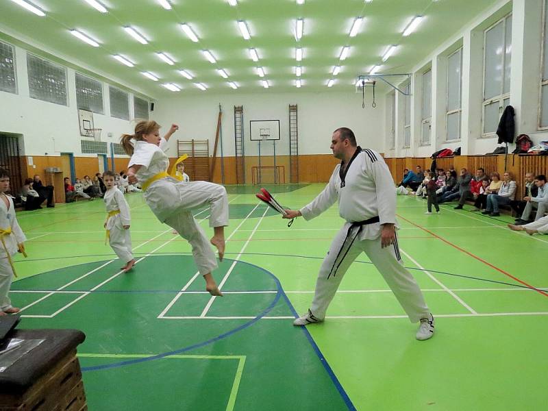 Mladí vyznavači korejského bojového sportu Taekwondo v sobotu 23. února v podvečer předvedli svou technickou vyspělost před zkušebním komisařem Mozamelem Hamidi z Ostravy.