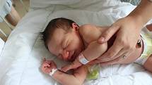 Eliška Tylová se v sobotu 10. srpna narodila mamince Kristýně Tylové z Karviné. Po narození malá vážila 3740g a měřila 51 cm.