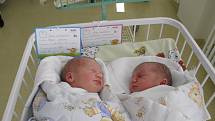 Dvojčátka Mareček a Magdalenka se narodila 16. července mamince Margitě Dokoupilové z Českého Těšína. Po narození Mareček vážil 2860 g a měřil 48 cm, jeho sestřička vážila 2750 g a měřila 45 cm.