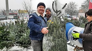 Prodej vánočních stromků, Karviná, prosinec 2023.