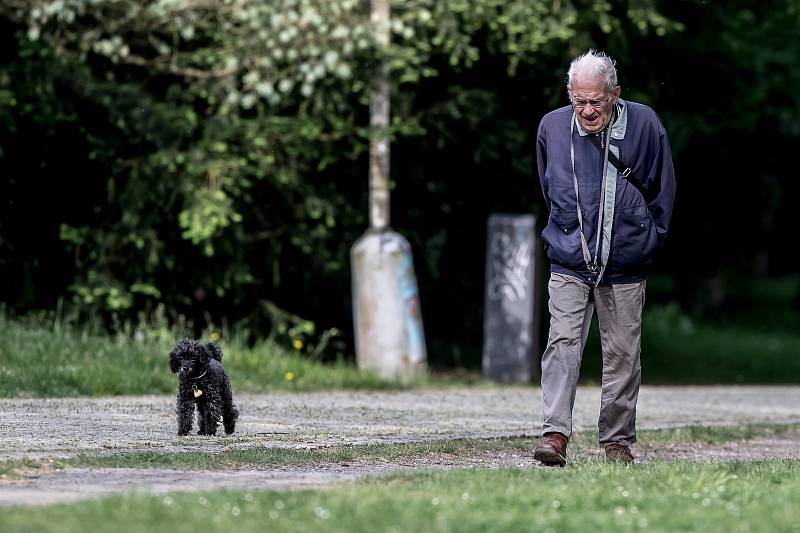 Venčení psů v pražské Stromovce 23. května.