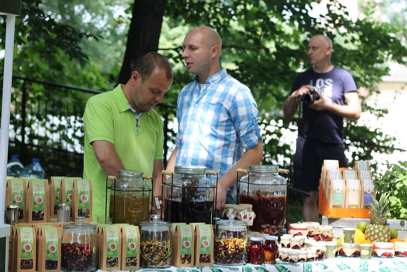 Na polské straně Těšína proběhl o víkendu již 11. ročník akce Svátek čaje.