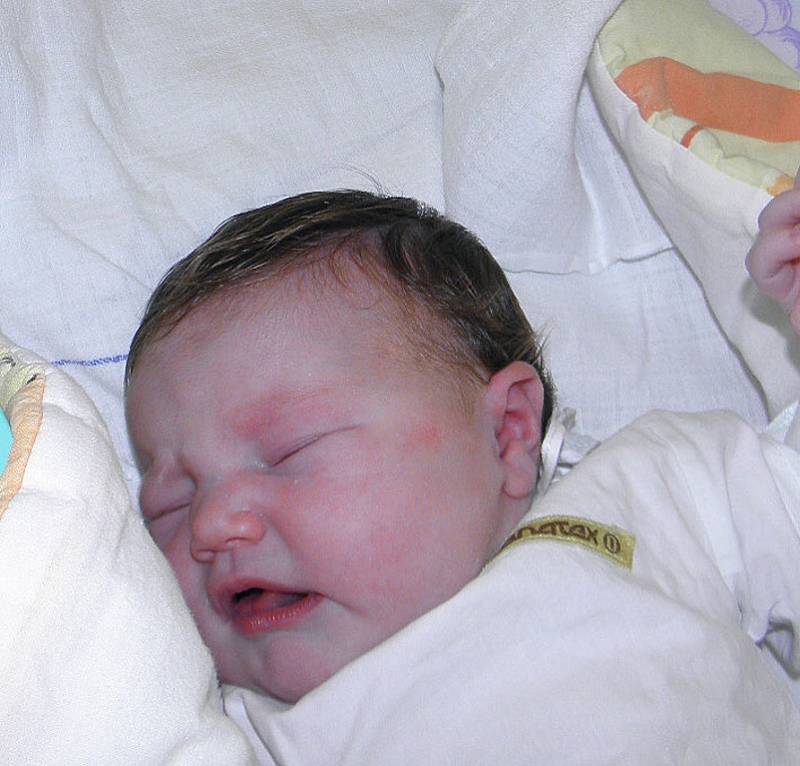 Viktorie Kovaříková se narodila 20. července paní Lence Hanzlové z Orlové. Porodní váha holčičky byla 4100 g a míra 51 cm. Bráška Dominik se na miminko moc těší.
