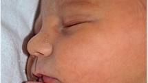 Prvorozený syn Kryštof se 19. září v 15:07 h. narodil v karvinské porodnici mamince Pavlíně Hrbkové z Orlové. Měřil 46 cm a vážil 3110 gramů. Statečný tatínek Lukáš byl u porodu.