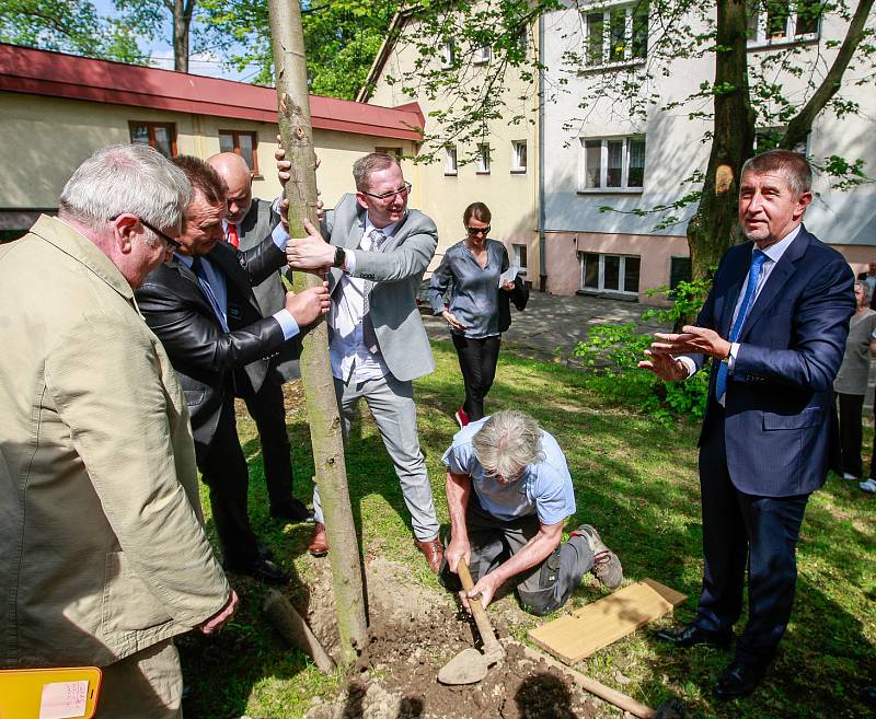 Vládní návštěva v Moravskoslezském kraji, 25. dubna 2018, Domov Březiny v Petřvaldu. Premiér Andrej Babiš s hejtmanem Ivo Vondrákem pomohli také se stavěním májky.
