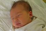 Patricie Eva Pojmonová se narodila 26. října paní Kateřině Pojmonové z Karviné. Porodní váha holčičky byla 3440 g a míra 51 cm.