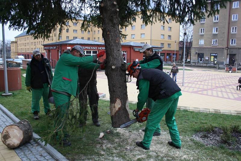 Vánoční stromy v Havířově. Strom na náměstí TGM v Havířově-Šumbarku. 