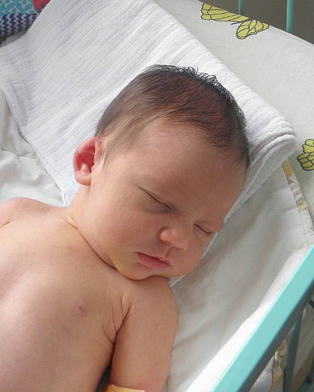 Šárka Stonavská se narodila 16. srpna mamince Adéle Stonavské z Albrechtic. Po porodu miminko vážilo 3320 g a měřilo 50 cm.