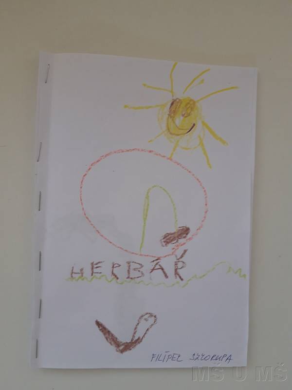 Děti vyráběly jejich první herbář.