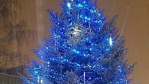 Vánoční strom u kostela sv. Marka v Karviné - reprezentativní douglaska výšky 22 m ze Závady byla zkrácen na cca 15 m.
