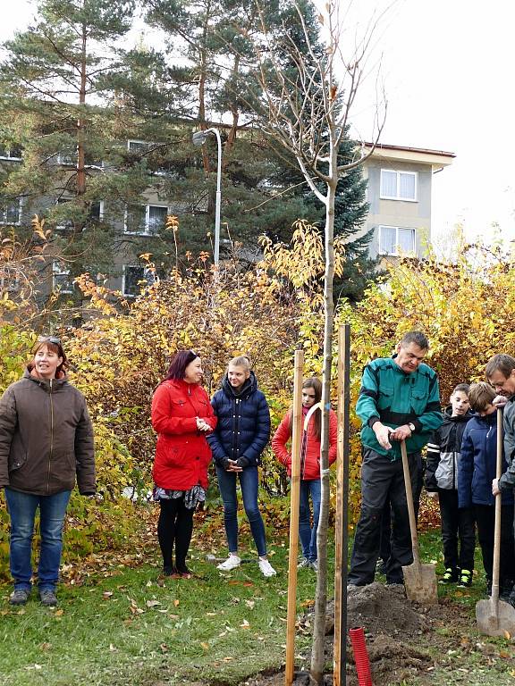 Školáci ze ZŠ Žákovská v Havířově společně s učiteli vysadili pamětní lípu.