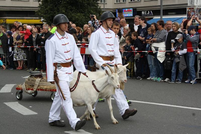 Havířov v květech. 