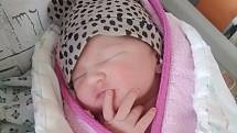 Laura Čížková se ve čtvrtek 23. dubna narodila mamince Lucii Čížkové Po narození holčička vážila 3080 g a měřila 50 cm.