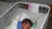 Karolinka se narodila 4. října mamince Dominice Pásztorové z Orlové. Po porodu dítě vážilo 2730 g a měřilo 47 cm.