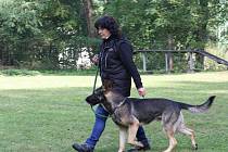 Ověřit si poslušnost svého psa mohli závodnici, kteří se zúčastnili kynologického závodu v Petřvaldu. Ten uspořádala místní kynologická stanice. 