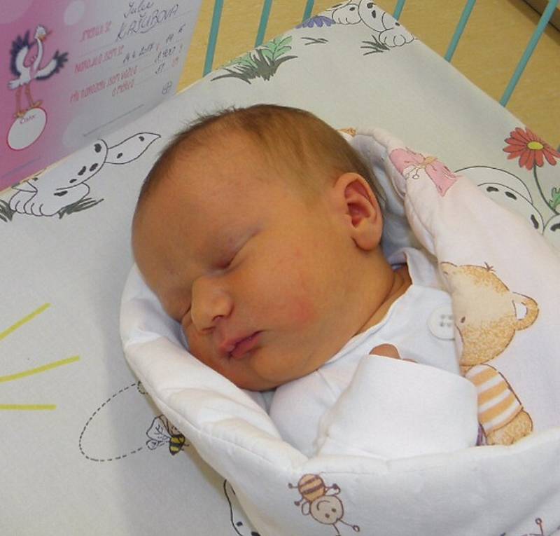 Julie Kašubová se narodila 14. dubna mamince Aleně Galuszkové z Orlové. Porodní váha holčičky byla 3900 g a míra 51 cm.