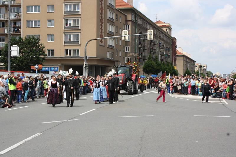 Květinové korzo slavnosti Havířov v květech 2015. 