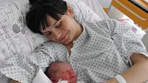Alicja Duda se narodila 15. června mamince Ewě Duda z Českého Těšína. Po porodu dítě vážilo 2960 g a měřilo 48 cm.
