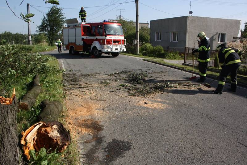 V Havířově-Prostřední Suché museli hasiči rozřezat vyvrácenou třešeň. 