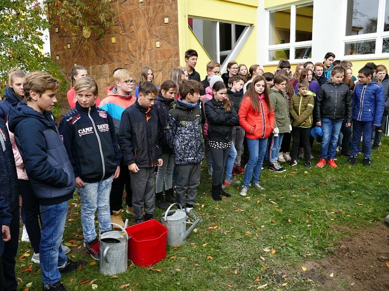 Školáci ze ZŠ Žákovská v Havířově společně s učiteli vysadili pamětní lípu.