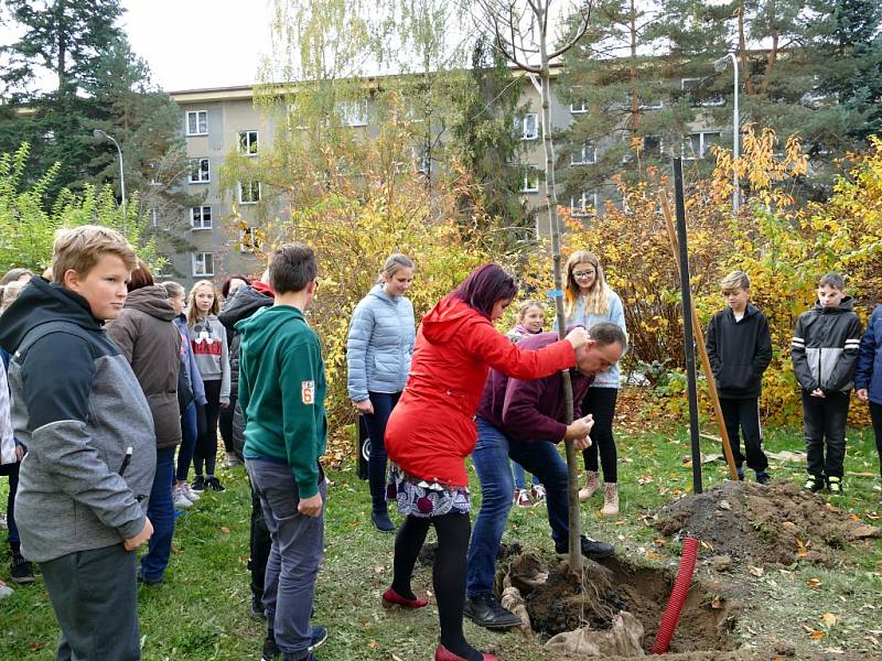 Školáci ze ZŠ Žákovská v Havířově společně s učiteli vysadili pamětní lípu.