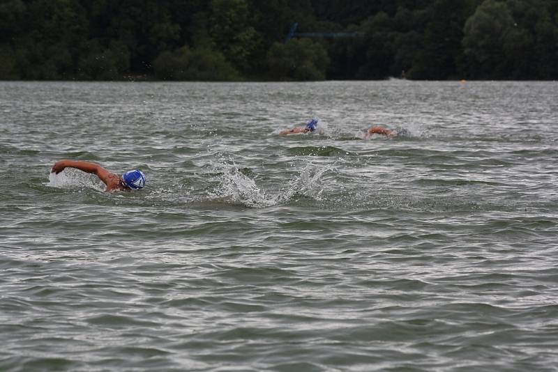 Závod v dálkovém plavání na Těrlické přehradě. 