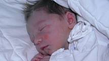 Davídek se narodil 26. června paní Kateřině Hoghové z Doubravy. Po narození dítě vážilo 3080 g a měřilo 47 cm.