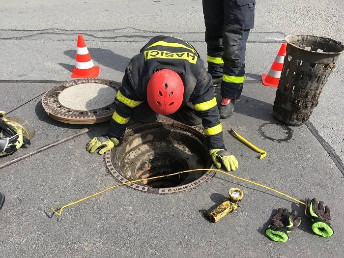 Byl to boj! Vyčerpaného pejska Artura vytáhli v Havířově z kanalizace až hasiči.