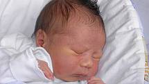 Honzík Chylek se narodil 8. prosince paní Lence Chylkové z Karviné. Porodní váha chlapečka byla 3400 g a míra 51 cm.