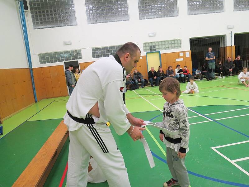 Mladí vyznavači korejského bojového sportu Taekwondo v sobotu 23. února v podvečer předvedli svou technickou vyspělost před zkušebním komisařem Mozamelem Hamidi z Ostravy.