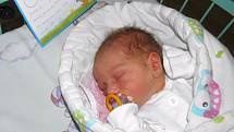 Theodor Gábor se narodil 19. listopadu paní Pamele Gáborové z Karviné. Po porodu chlapeček vážil 2900 g a měřil 50 cm.