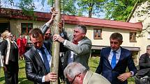 Vládní návštěva v Moravskoslezském kraji, 25. dubna 2018, Domov Březiny v Petřvaldu. Premiér Andrej Babiš s hejtmanem Ivo Vondrákem pomohli také se stavěním májky.