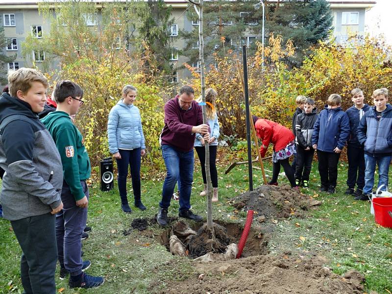 Školáci ze ZŠ Žákovská v Havířově společně s učiteli vysadili pamětní lípu.