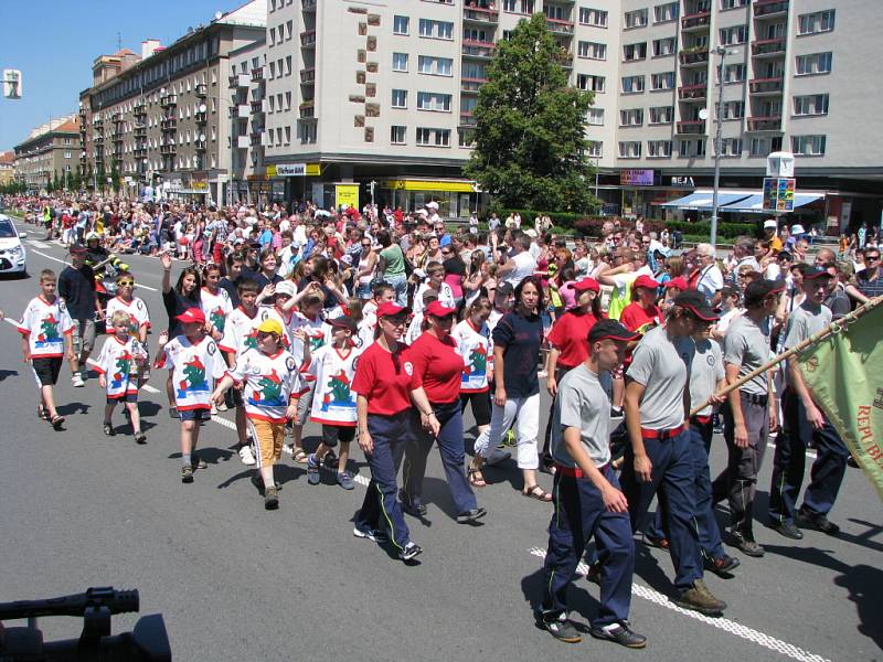 Havířov v květech. 