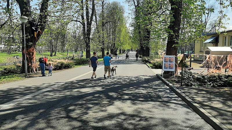 Na nábřeží Olše u KaSS Střelnice můžete o víkendu vyrazit na malou Filipojakubskou procházku.