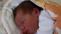 Scarlett Pompa se narodila 3. září mamince Veronice Celerové. Její porodní váha byla 3190 g a míra 47 centimetrů. 