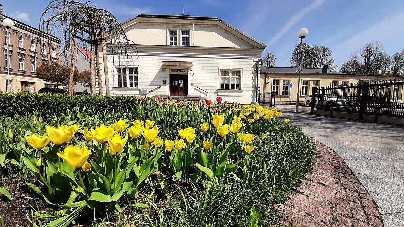 Na nábřeží Olše u KaSS Střelnice můžete o víkendu vyrazit na malou Filipojakubskou procházku.