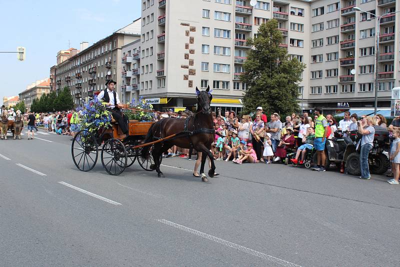 Havířov v květech 2018.