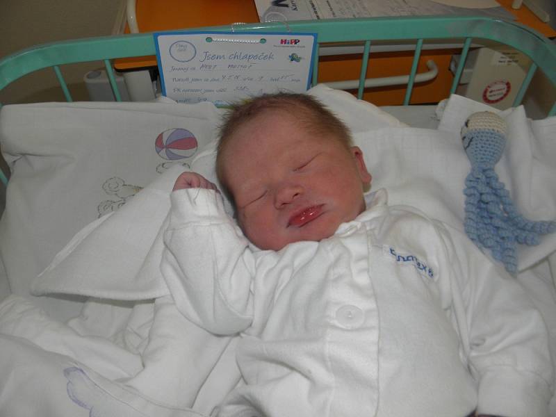 Matyášek Hort se narodil 7. května mamince Petře Hortové z Karviné. Po porodu dítě vážilo 3380 g a měřilo 49 cm.