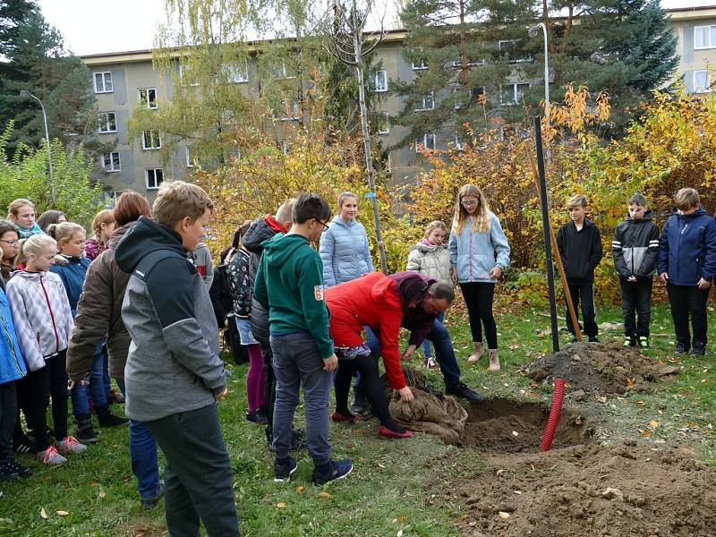 Školáci ze ZŠ Žákovská v Havířově společně s učiteli vysadili pamětní lípu.