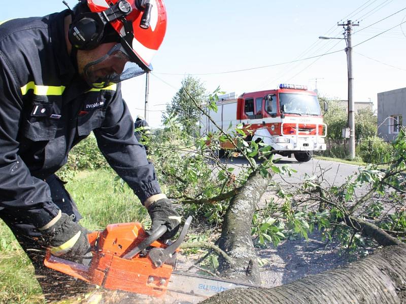 V Havířově-Prostřední Suché museli hasiči rozřezat vyvrácenou třešeň. 
